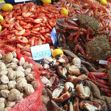 In Near Sandy * Bréhal