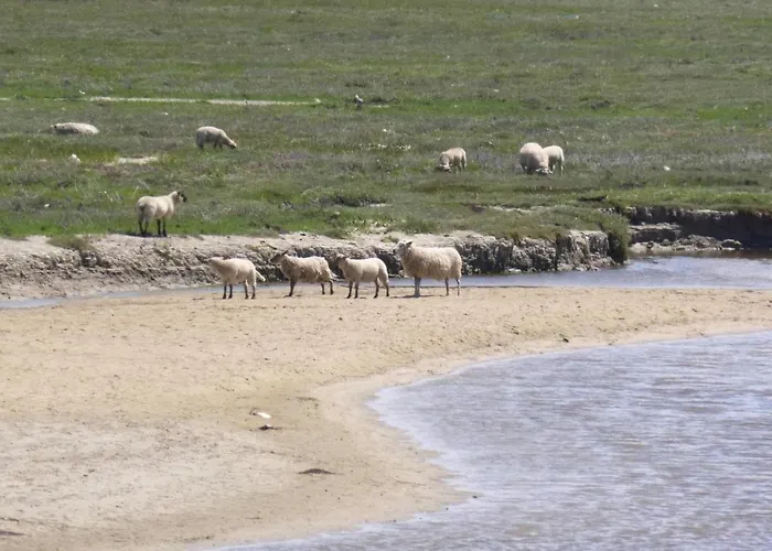بيت للعطل In Near Sandy